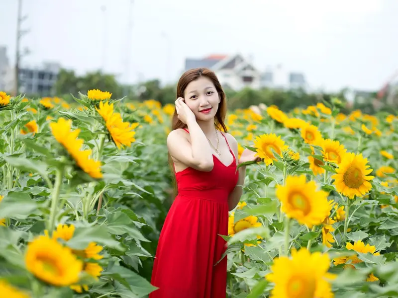 娶越南媳妇_娶越南老婆：物美价廉得不偿失的自卑选择